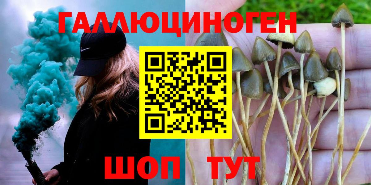 Галлюциногенные грибы GOLDEN TEACHER  Псилоцибиновые грибы Cubensis  купить наркотики сайты  Мичуринск  Вход с VPN 