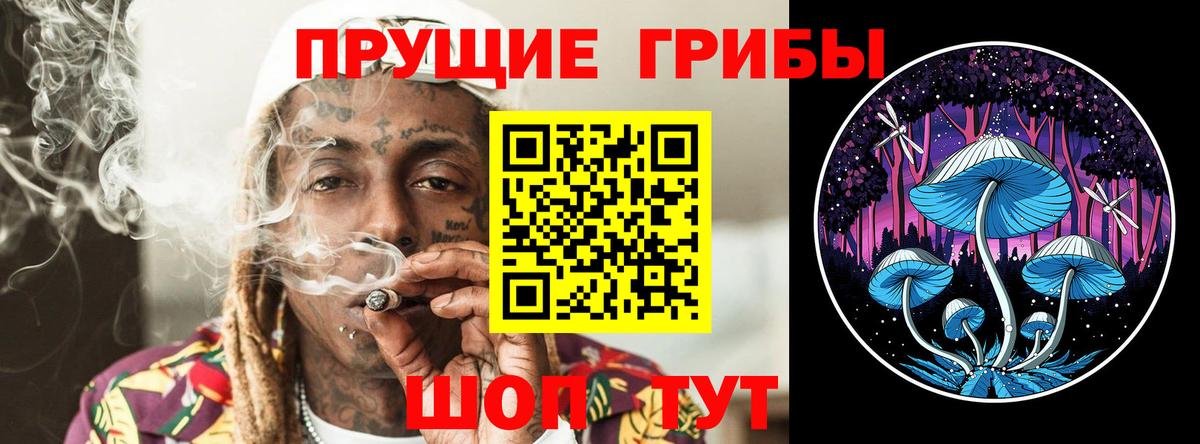 Псилоцибиновые грибы GOLDEN TEACHER Мичуринск
